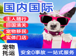 南充高坪机场快运国际宠物托运 【国